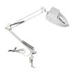 LumaPro 4PD51 Magnifier Light, 60 W