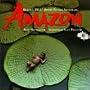 Amazon - Original IMAX Motion Picture Soundtrack