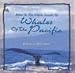 Relax to the Gentle Sounds of Whales of the Pacific