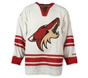 Buy NHL Hockey Jersey - Phoenix Coyotes Road Replica Jersey by Star Struck
