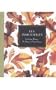 Les Immortelles: Everlasting Blooms - The Beauty of Dried Flowers