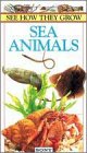See How They Grow: Sea Animals
