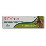 Telmin Paste 20g Syringe (POM-VPS)
