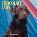 Dog Breeds Chocolate Labs Calend