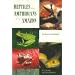 Reptiles and Amphibians of the Amazon: An Ecotourist's Guide