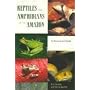 Reptiles and Amphibians of the Amazon: An Ecotourist's Guide