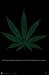 Pot Leaf - Street Terms Art Poster - 23 x 34
