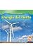 Energia del Viento (Energia Para El Presente) (Spanish Edition)