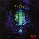 Veil