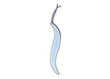 Bookmark Colorful Quote Silver Swift Light Blue
