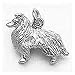 Dog, Collie Charm