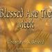 Blessed-Are-the-Meek-Christmas-Blessed Are the Meek cd cover