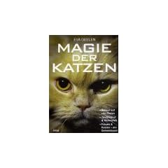 Magie der Katzen
