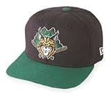 Minor League Baseball Cap - Lynchburg Hillcats Home Cap by New Era - B000A0YK0Q