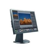 L2440P 24" Wide Flat Panel