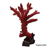 Walt Smith Staghorn Red Coral Replica - STAGHORN RED