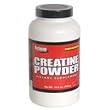 Optimum Nutrition Creatine Powder 300gm