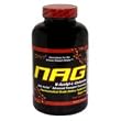 SAN NAG Fruit Tart 40serv