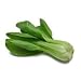 Bok Choi, Pak Choi Joi Choi 299+ Seeds Chinese Cabbage By Hinterland Trading