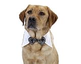 Halloween Black Dog Bowtie (Small)