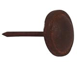 Rusted Iron Button Nails 11/16
