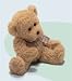 Plush Douglas Bear Md 13