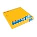 Kodak PROFESSIONAL EKTACHROME E100G - Color slide film - 8 x 10 - ISO 100 - 10 sheets
