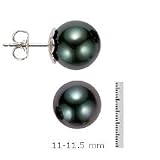 14k Gold,11-11.5mm Black Tahitian South Sea Pearl Stud Earring