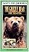 Nature Series: The Grizzly Bear with Additional Feature The Beaver