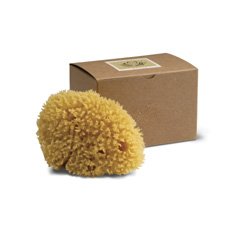 Baudelaire Genuine Caribbean Wool Sea Sponge
