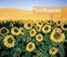Sunflowers 2010 Deluxe Wall Calendar