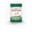 Royal Canin Mini Beauty Care (26) Formula Dry Dog Food (3-lb bag)