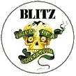 THE BLITZ - Voice Of A Generation - Button / Pin