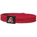 Diamondbacks Phiten Titanium Bracelet X30 ( sz. L, Arizona Diamondbacks : Diamondbacks )