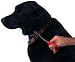 Pet Supplies : Avery Cut to Fit Hunting Dog Collars (Avery KW-1)