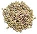 Gourmet Food : LENTILS, GREEN ( ESTON ), 10 lbs.