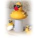 Derby Ducks Spa & Small Pool Dispenser