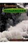 Avalanches (Natural Disasters (Capstone High-Interest Books))