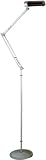 Modern Galaxy Energy Saving Black/Silver Task Floor Lamp
