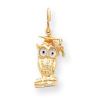 14k Grad. Owl Charm - Measures 20x9mm
