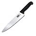 Kitchen & Housewares : R H. Forschner by Victorinox 10-Inch Chef's Knife, Black Fibrox Handle