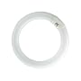 Lampe CIRCLINE 22W Plein Spectre type LC22W/865