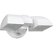 NyteWatch - Motion Sensing Security Light Adjustable