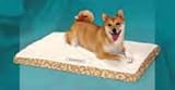 AlphaPooch Lounger Orthopedic Rectangular Dog Bed, Tan Jaguar Fabric with Fleece, Large