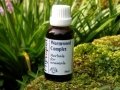 Outdoor Living : Wormwood Complex a blend of herbs traditionally used to repel intestinal parasites