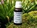 Wormwood Complex a blend of herbs traditionally used to repel intestinal parasites