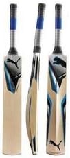PUMA Bionic 6000Y Junior Cricket Bat, 6