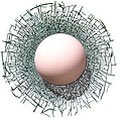 Shattersports Lacrosse 3-D Static Cling Window Decal