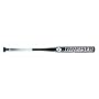 Demarini Bruiser Slowpitch bat - 2009 Model