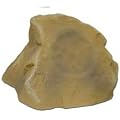 1 Choice Select Rock Speaker with 5.25in Woofer and 2in Tweeter, Sahara Yellow